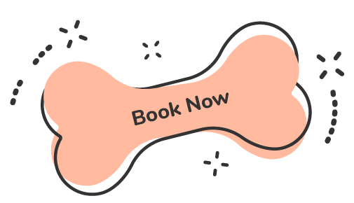 https://pawsinstyle.co.nz/wp-content/uploads/2019/07/text_01.png